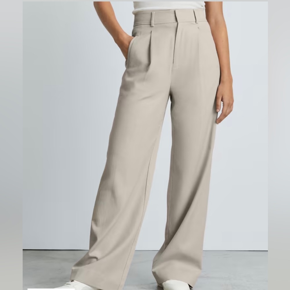 Everlane Way-High Drape Pant 10S